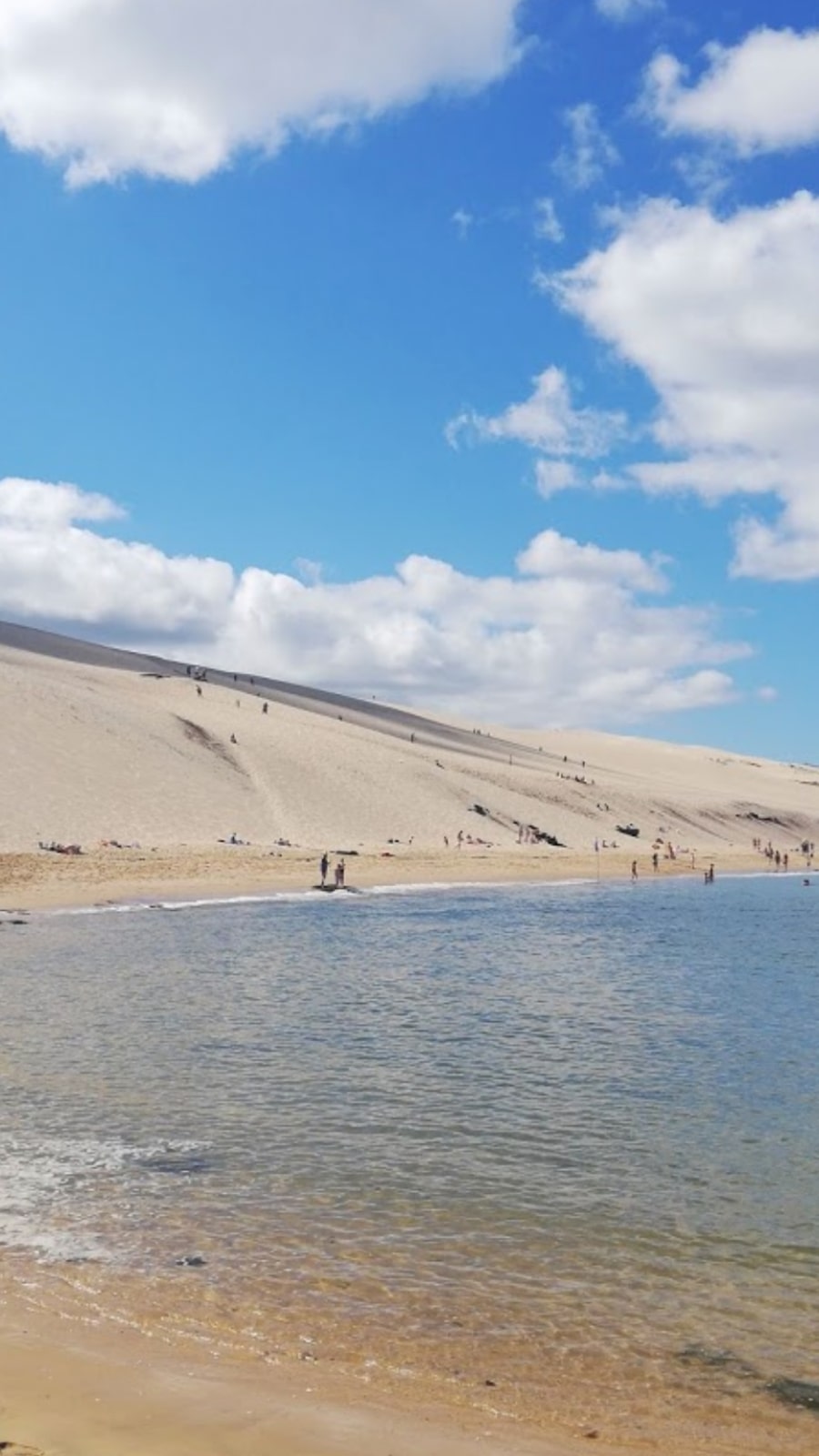 Appel aux dons - C Ma Terre - Plantations herbacées dans les dunes 