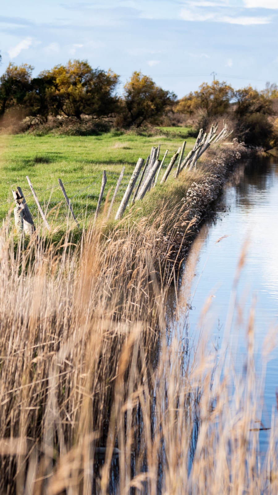 Nature biodiversité - Crédits photo Sylvain Leurent