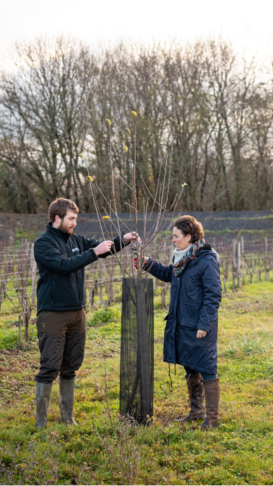 Plantage d'arbres Pur Projet - Crédits photo Sylvain Leurent