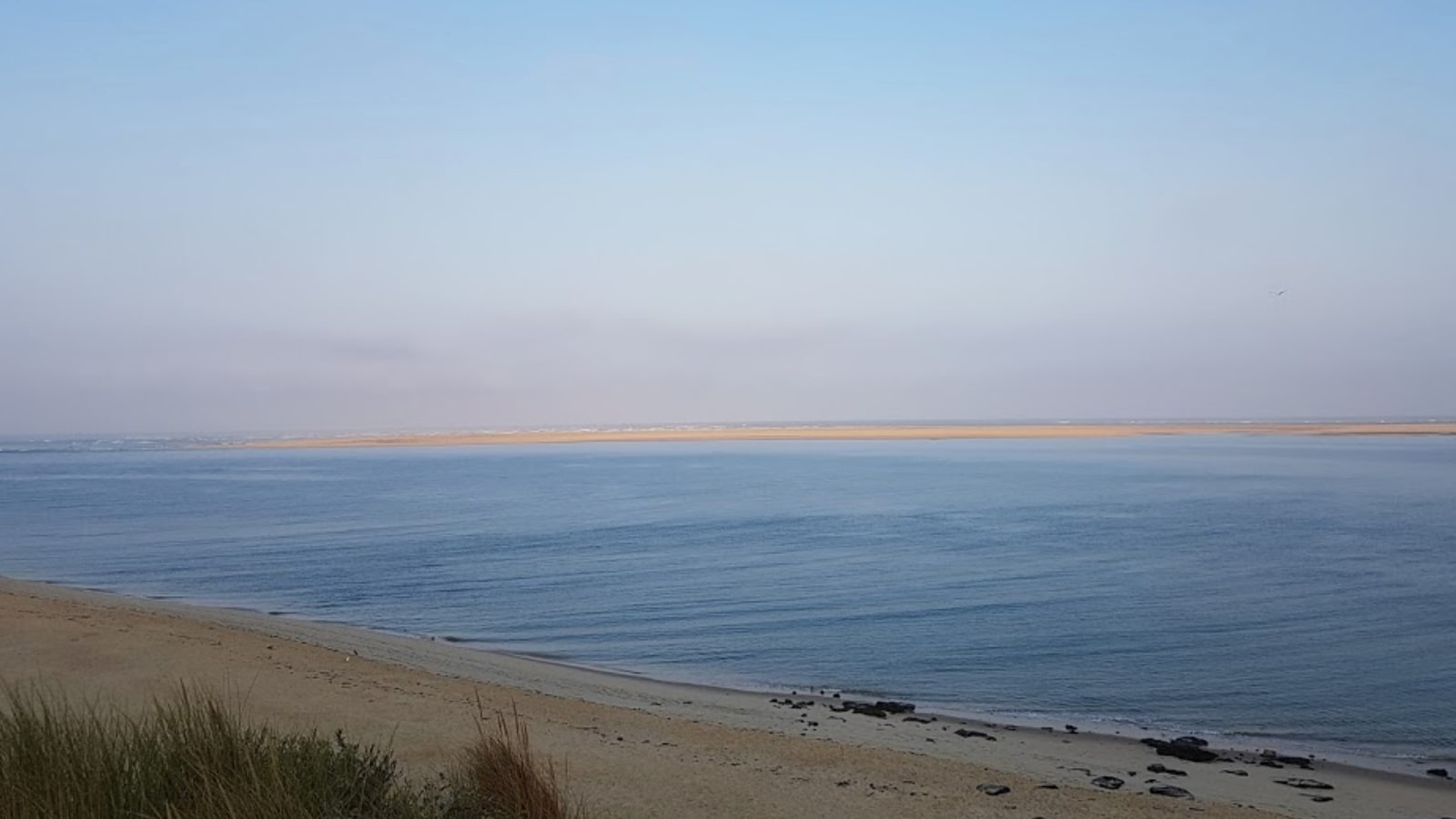 Appel aux dons - Premier projet en faveur de la biodiversité - Plage du Petit Nice 8