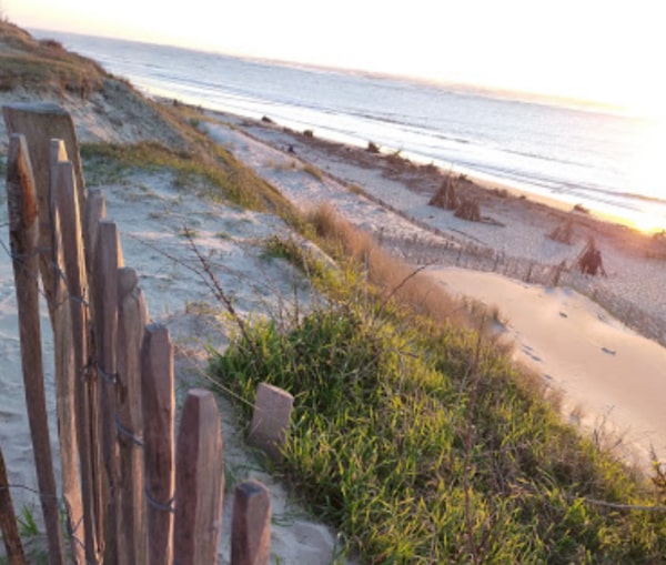 Pose de ganivelles - 1er Projet C Ma Terre en faveur de la biodiversité sur la plage du Petit Nice